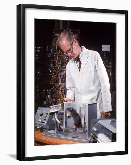 B. Frederic Skinner at Harvard Training Rat in "Skinner Box" to Press Lever and Be Rewarded-Nina Leen-Framed Premium Photographic Print