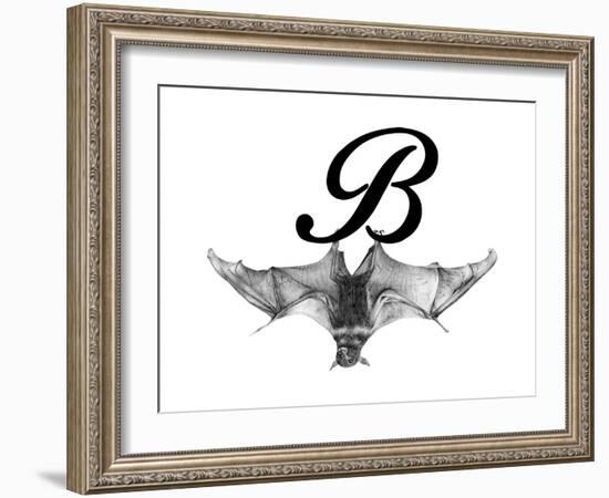 B is for Bat-Stacy Hsu-Framed Art Print