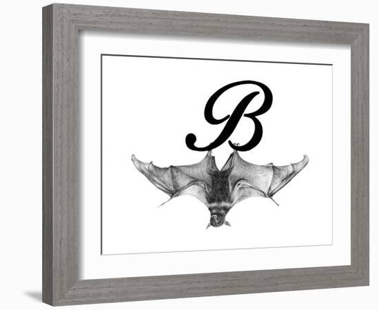 B is for Bat-Stacy Hsu-Framed Art Print