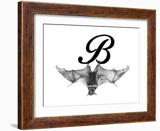 B is for Bat-Stacy Hsu-Framed Art Print