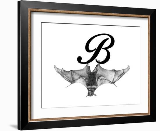 B is for Bat-Stacy Hsu-Framed Art Print