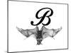 B is for Bat-Stacy Hsu-Mounted Art Print