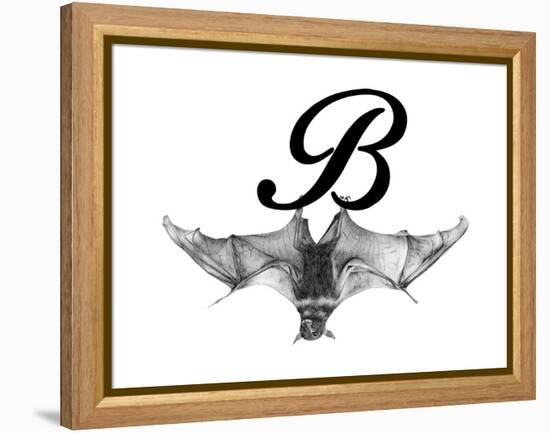 B is for Bat-Stacy Hsu-Framed Stretched Canvas