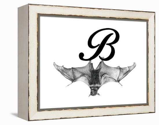 B is for Bat-Stacy Hsu-Framed Stretched Canvas