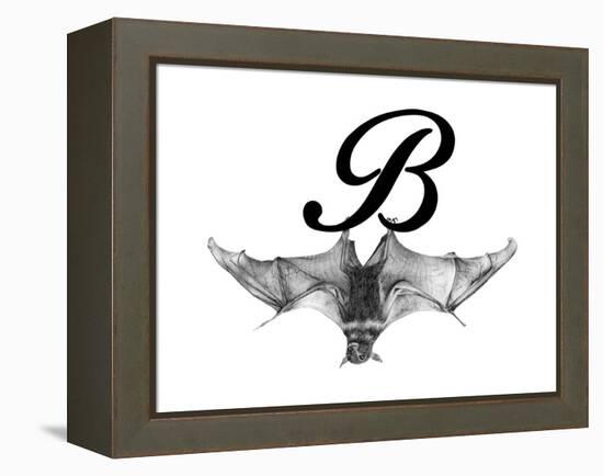 B is for Bat-Stacy Hsu-Framed Stretched Canvas