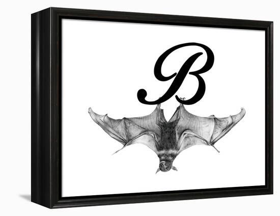 B is for Bat-Stacy Hsu-Framed Stretched Canvas