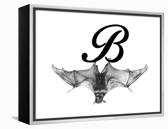 B is for Bat-Stacy Hsu-Framed Stretched Canvas