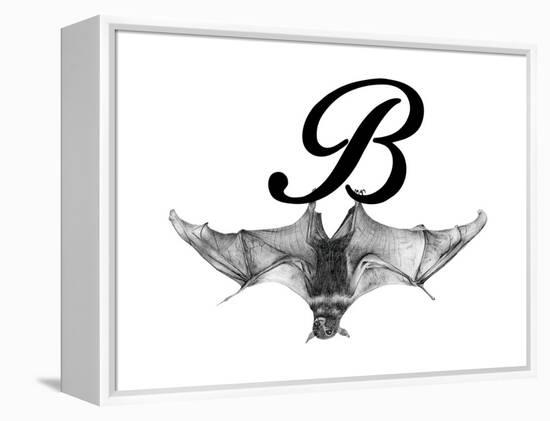 B is for Bat-Stacy Hsu-Framed Stretched Canvas