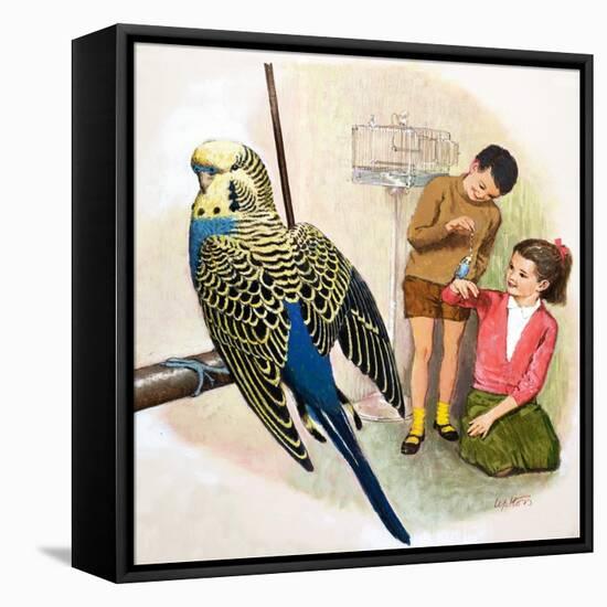 B Is for Budgerigars, Illustration from 'Treasure'-Clive Uptton-Framed Premier Image Canvas