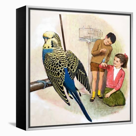 B Is for Budgerigars, Illustration from 'Treasure'-Clive Uptton-Framed Premier Image Canvas