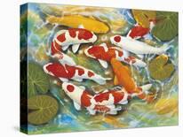 Koi-Carp-B Lee-Framed Stretched Canvas