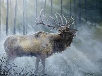 Elk Journey III-B. Lynnsy-Art Print