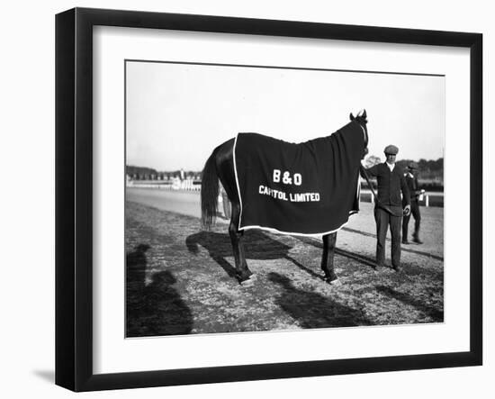 B&O Capitol Limited Horse-null-Framed Photographic Print