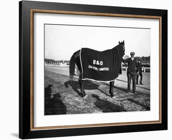 B&O Capitol Limited Horse-null-Framed Photographic Print