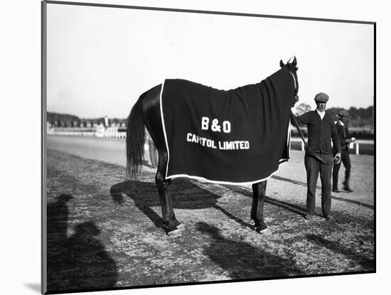 B&O Capitol Limited Horse-null-Mounted Photographic Print