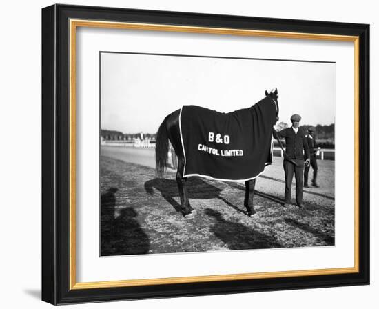 B&O Capitol Limited Horse-null-Framed Photographic Print