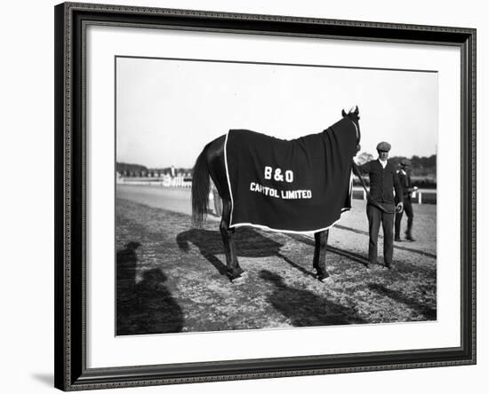 B&O Capitol Limited Horse-null-Framed Photographic Print