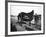 B&O Capitol Limited Horse-null-Framed Photographic Print