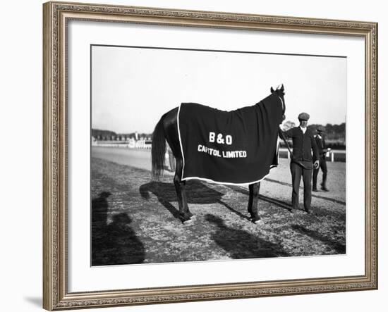 B&O Capitol Limited Horse-null-Framed Photographic Print