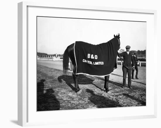 B&O Capitol Limited Horse-null-Framed Photographic Print