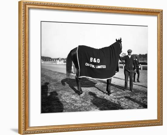 B&O Capitol Limited Horse-null-Framed Photographic Print