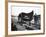 B&O Capitol Limited Horse-null-Framed Photographic Print