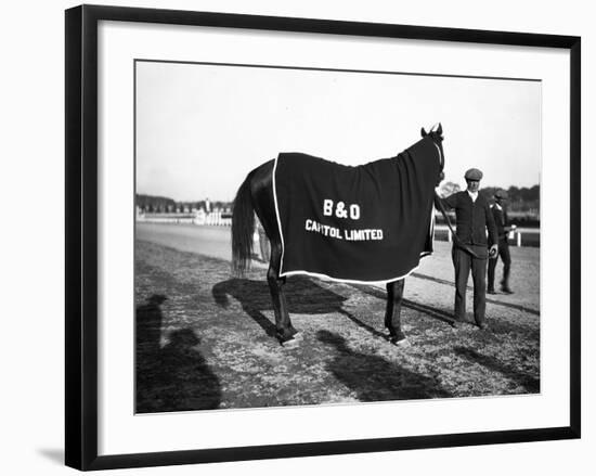 B&O Capitol Limited Horse-null-Framed Photographic Print