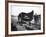 B&O Capitol Limited Horse-null-Framed Photographic Print