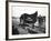 B&O Capitol Limited Horse-null-Framed Photographic Print