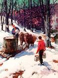 "Harvesting Maple Sap,"March 1, 1940-B. Summers-Giclee Print