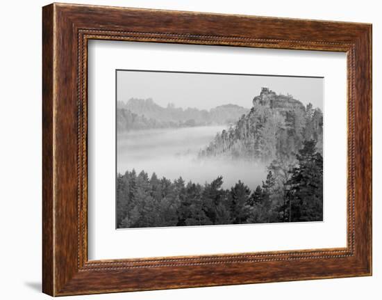 B&W Autumn Landscape-Jan S.-Framed Photographic Print