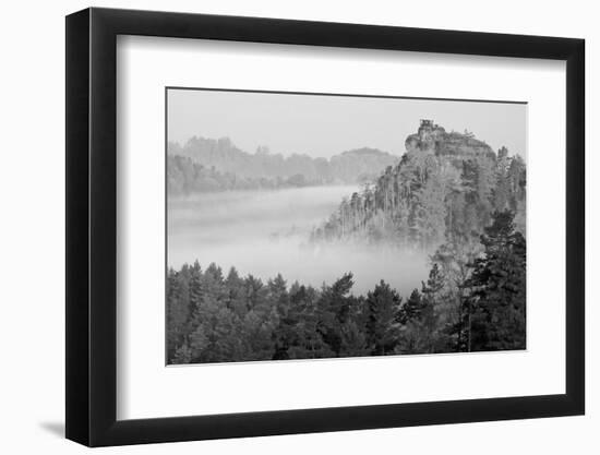 B&W Autumn Landscape-Jan S.-Framed Photographic Print