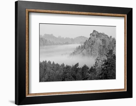 B&W Autumn Landscape-Jan S.-Framed Photographic Print