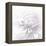 B&W Dahlia R 2-Suzanne Foschino-Framed Stretched Canvas