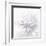 B&W Dahlia R 2-Suzanne Foschino-Framed Photographic Print