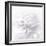 B&W Dahlia R 2-Suzanne Foschino-Framed Photographic Print