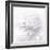 B&W Dahlia R 2-Suzanne Foschino-Framed Photographic Print