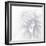 B&W Dahlia R 2a-Suzanne Foschino-Framed Photographic Print