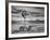 B&W Desert View VI-David Drost-Framed Photographic Print