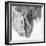 B&W Horses VII-PHBurchett-Framed Photographic Print