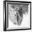 B&W Horses VII-PHBurchett-Framed Photographic Print