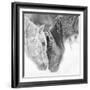 B&W Horses VII-PHBurchett-Framed Photographic Print