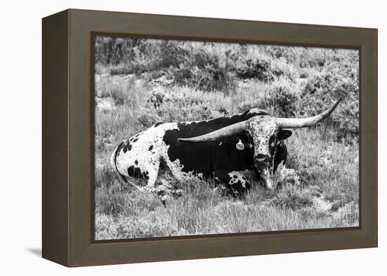 B&W Longhorn I-Tyler Stockton-Framed Premier Image Canvas