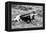 B&W Longhorn I-Tyler Stockton-Framed Premier Image Canvas