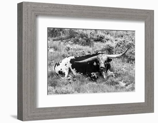 B&W Longhorn I-Tyler Stockton-Framed Photographic Print