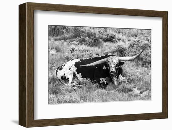 B&W Longhorn I-Tyler Stockton-Framed Photographic Print