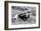 B&W Longhorn I-Tyler Stockton-Framed Photographic Print