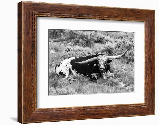 B&W Longhorn I-Tyler Stockton-Framed Photographic Print