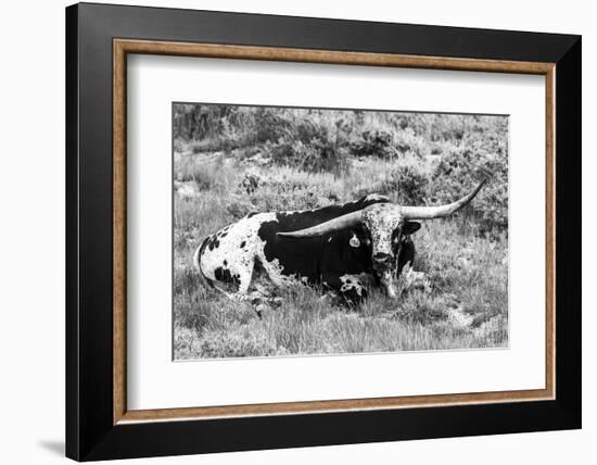 B&W Longhorn I-Tyler Stockton-Framed Photographic Print