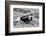 B&W Longhorn I-Tyler Stockton-Framed Photographic Print